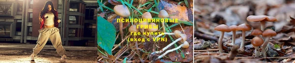 кокаин колумбия Протвино