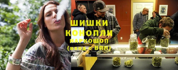 ГАЛЛЮЦИНОГЕННЫЕ ГРИБЫ Абаза