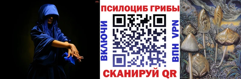 купить наркотик  Спас-Клепики  Галлюциногенные грибы мицелий 